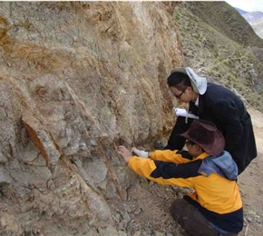 西藏自治区尼木县白容岗讲矿区铜矿详查